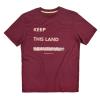 Camiseta Beautiful Land Tee Fig