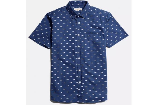 Camisa Cognito Wale Blue